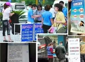 国产药骗局揭秘视频大全,揭秘视频大全深度剖析