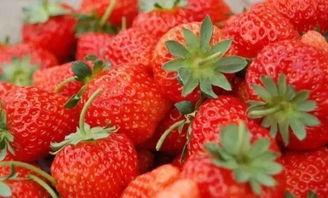 国产草莓视频儿童女孩,国产草莓视频中的甜美童年  第2张