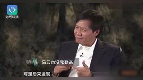 雷军谈国产原视频,国产原视频的崛起与未来  第3张