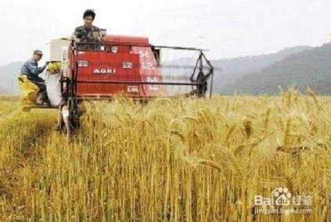国产收割机转弯视频播放,高效灵活，一转即达  第2张